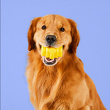 Hive Durable Chew Toy (Large) | Project Hive