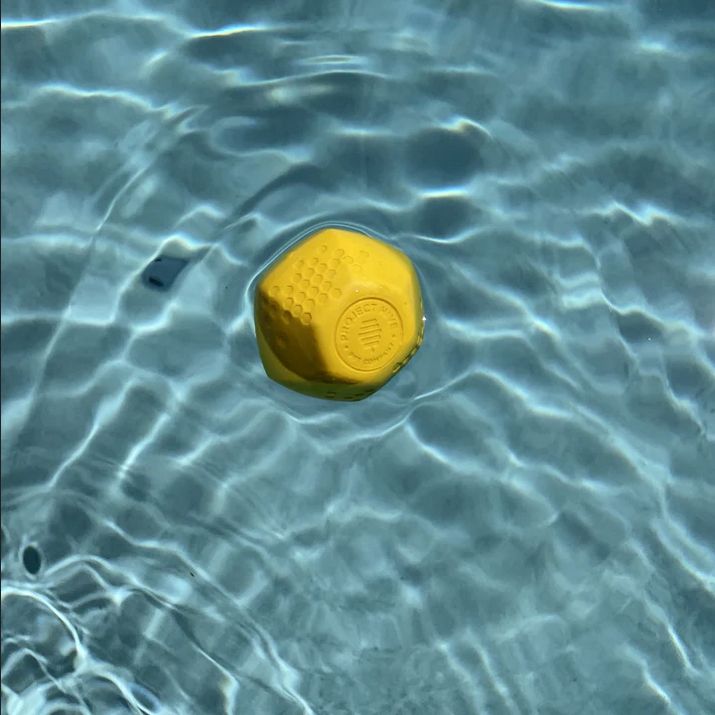 Hive Durable Dog Ball | Project Hive