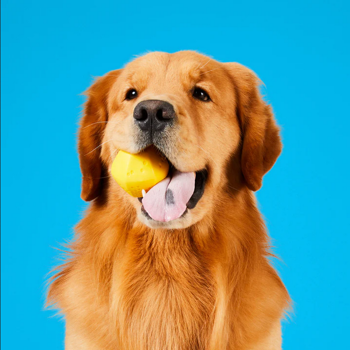 Hive Durable Dog Ball | Project Hive