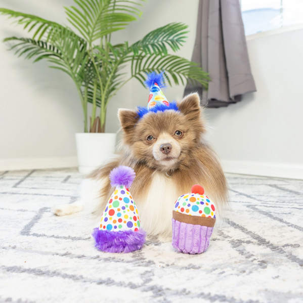 It's My Barkday Dog Toys | Huxley & Kent