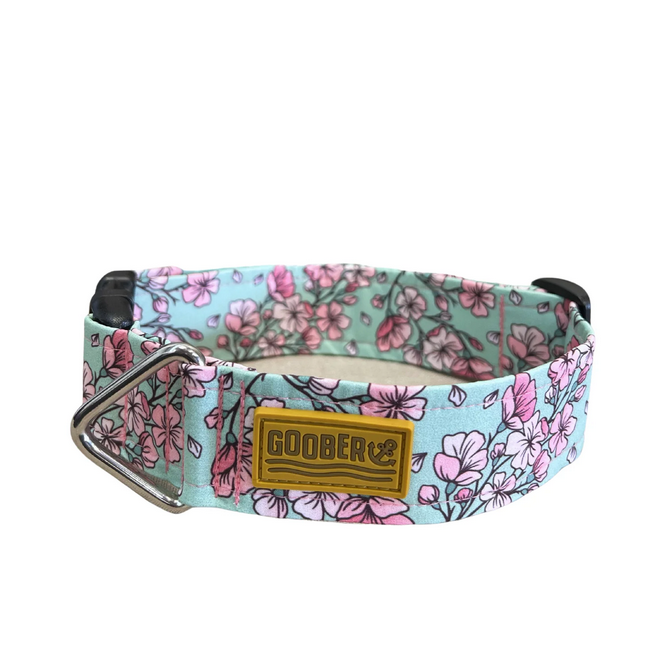 Cat Collar (Medium) | Goober
