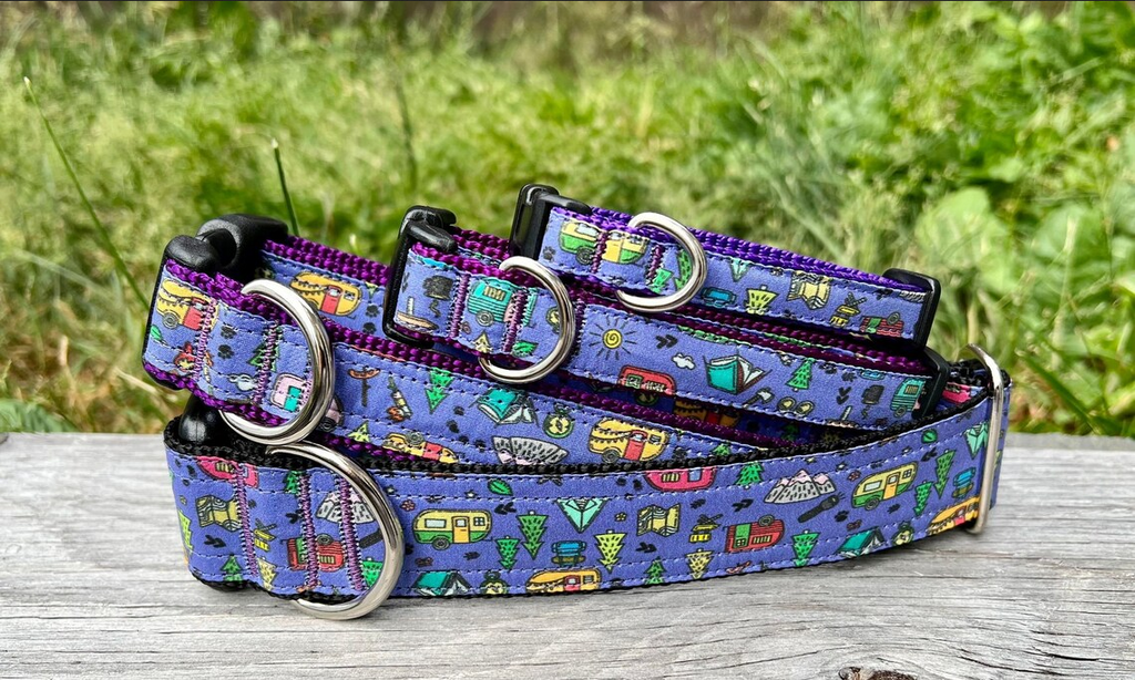 Newfoundland Made Dog Collars | Your Paws Only