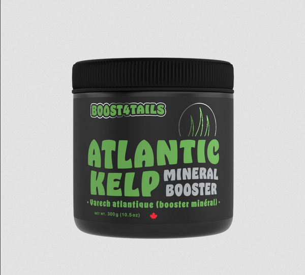Boost 4 Tails Atlantic Kelp (300g) | Hemp4Tails