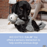Weighted Calming Toy (Small/Medium) | Canada Pooch