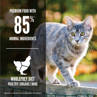 Original Formula (Cat Food) | Orijen