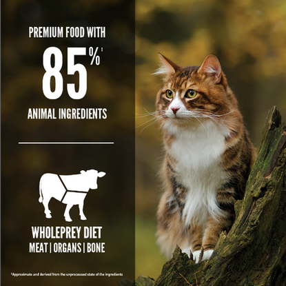 Regional Red (Cat Food) | Orijen