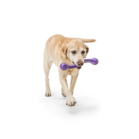 Zwig Fetch Toy (Assorted Colours) | West Paw