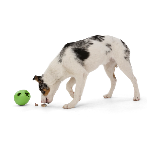 Rumbl Treat Toy (Assorted Colours) | West Paw