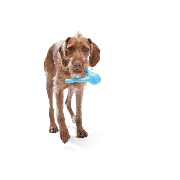 Tizzi Treat Toy (Assorted Colours) | West Paw