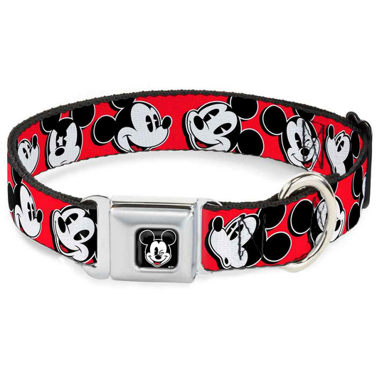 Licensed Seatbelt Buckle Collars | Buckle-Down