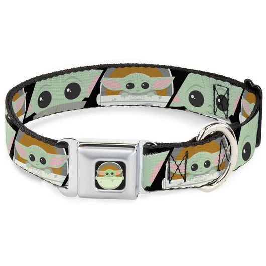 Licensed Seatbelt Buckle Collars | Buckle-Down