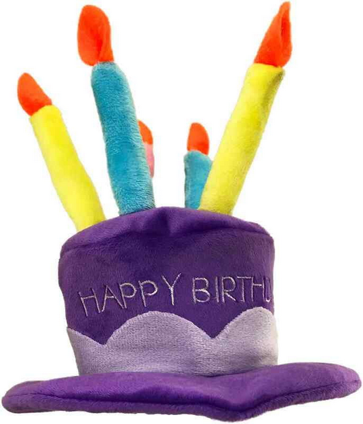 Birthday Hat | Petsport