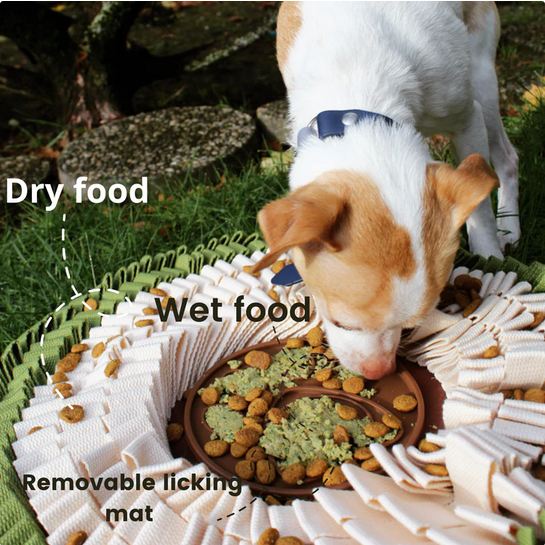 Cookie Snuffle Mat With Lick Mat | Injoya