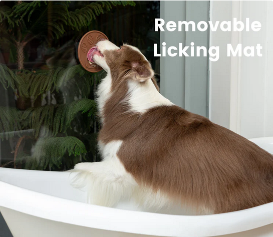 Cookie Snuffle Mat With Lick Mat | Injoya