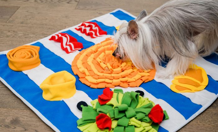 Breakfast Snuffle Mat | Injoya
