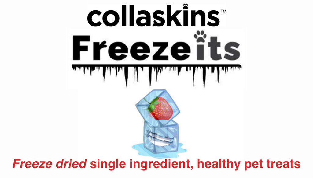 Freeze-Its Freeze Dried Apple (25g) | Collaskins