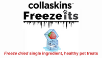Freeze-Its Freeze Dried Apple (25g) | Collaskins