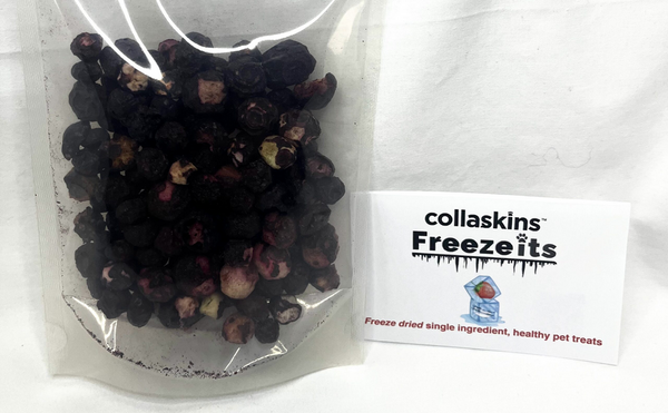 Freeze-Its Freeze Dried Whole Blueberries (25g) | Collaskins