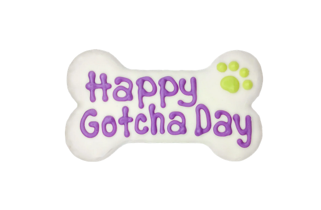 Happy Gotcha Day Cookie | Bosco & Roxy's