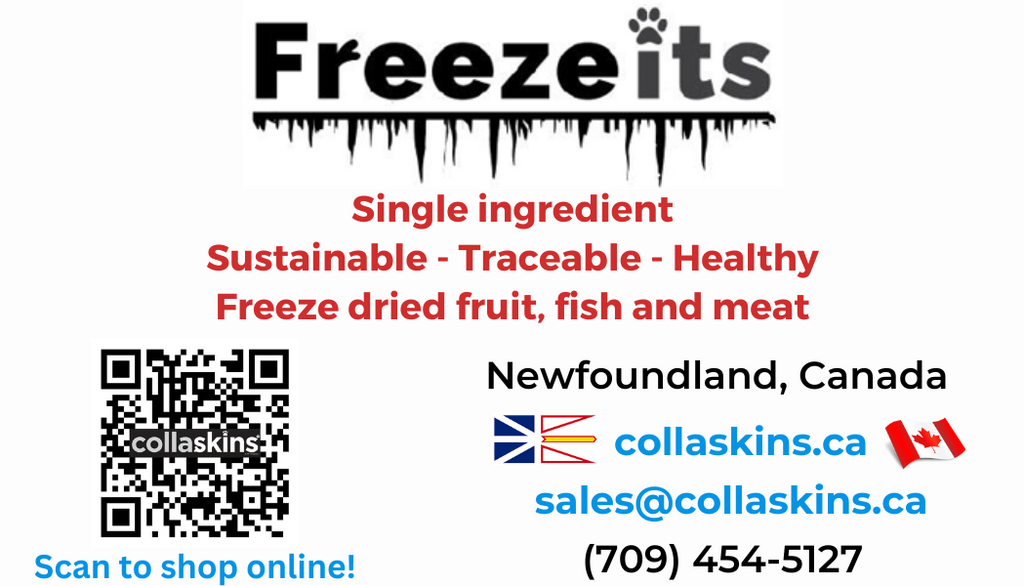 Freeze-Its Freeze Dried Cod (25g) | Collaskins