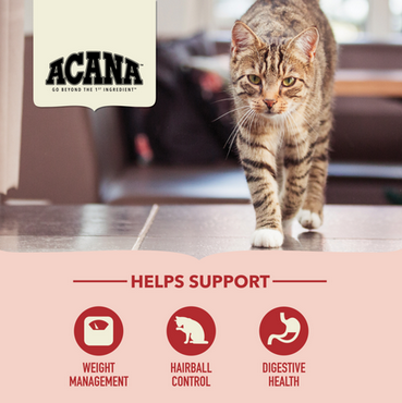 Indoor Entrée (Cat Food) | Acana