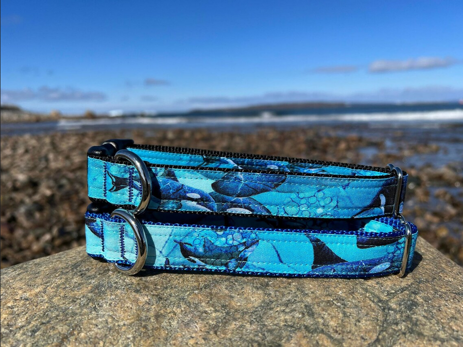 Newfoundland Made Dog Collars | Your Paws Only