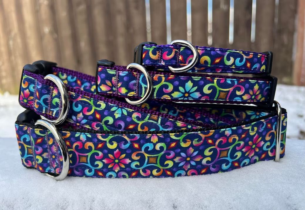 Newfoundland Made Dog Collars | Your Paws Only