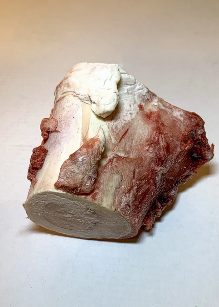 Raw Frozen Bison Marrow Bone (Medium) | Healthy Paws