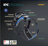 Longwalk Harness (Neon, Medium) | Julius K9