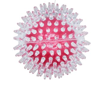 Transparent Spikey Ball | Bud'z