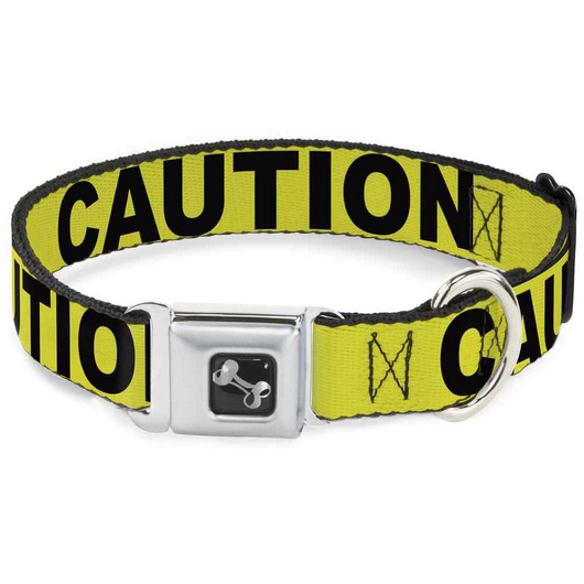 Caution Collar | Buckle-Down