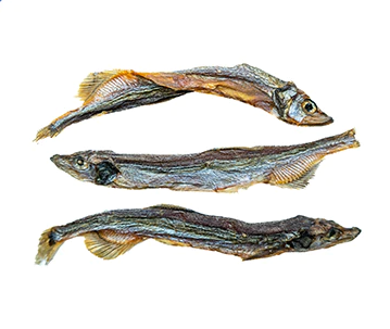 Cole Harbour Capelin (71g) | This&That