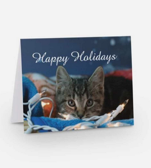 Holiday Card (Cat) | Danny's Paw Prints