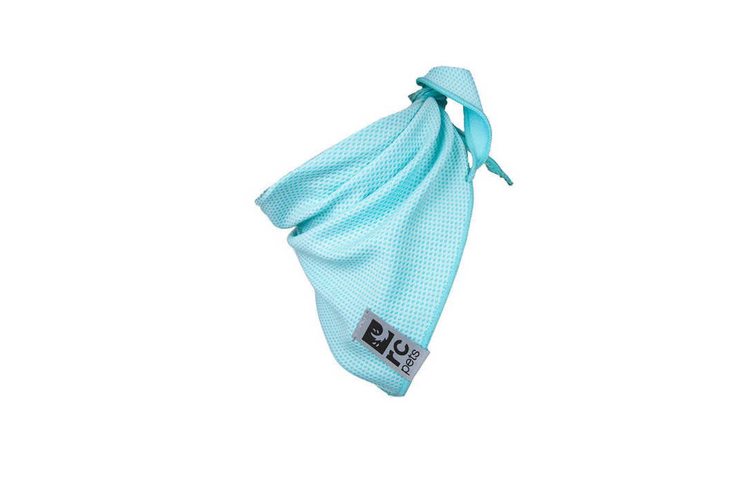 Zephyr Cooling Bandana (Ice Blue) | RC Pets
