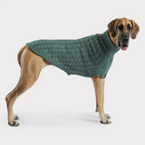 Chalet Dog Sweater (Sage) | GF Pet