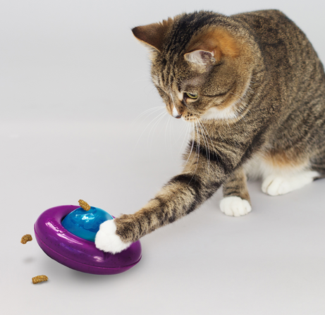 Catnip Infused Gyro | KONG
