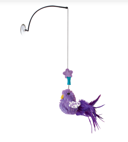 Connects Window Teaser Cat Toy (Assorted Colours) | KONG