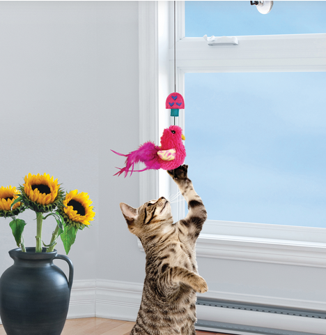 Connects Window Teaser Cat Toy (Assorted Colours) | KONG