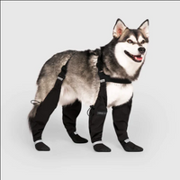 Suspender Winter Dog Boots (Size 4 Short) | Canada Pooch