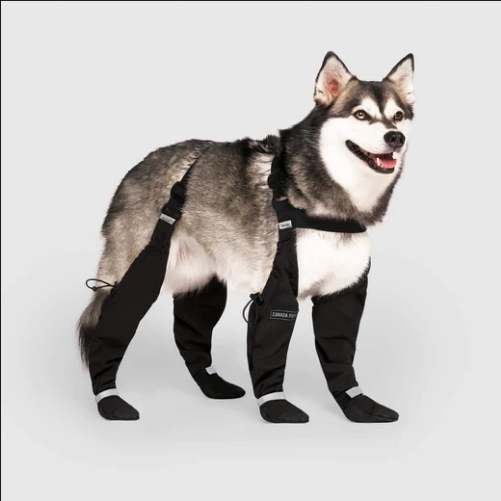 Suspender Winter Dog Boots (Size 5) | Canada Pooch