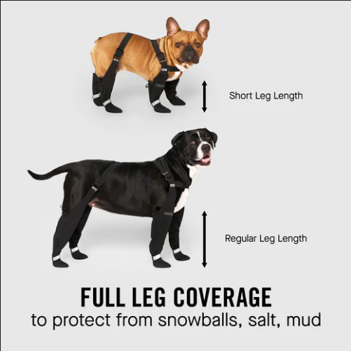 Suspender Winter Dog Boots (Size 5) | Canada Pooch