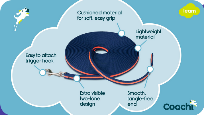 Coachi Training Line (32.8ft) | Company Of Animals