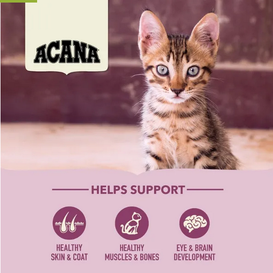 First Feast (Kitten Food, 4lb) | Acana