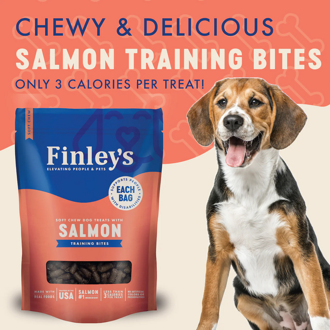 Salmon Recipe Soft Chew Training Bites (6oz) | Finley's