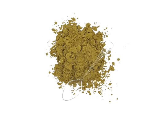 Pumpkin + Boost Supplement (120g) | Blends For Life