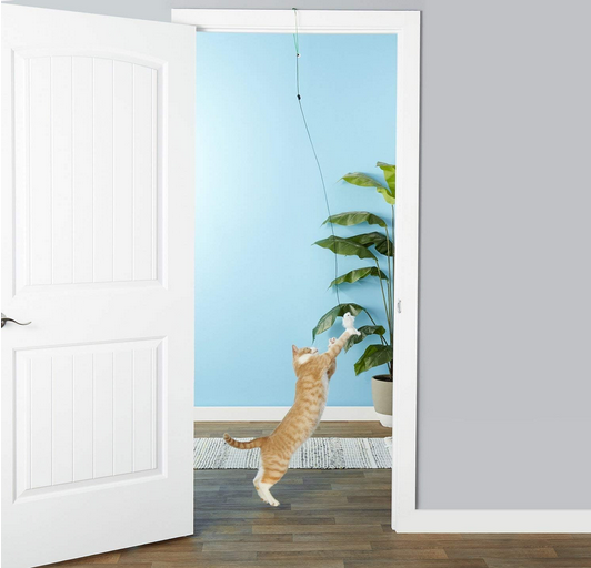 A-Door-Able Bouncing Bird Catnip Toy | Spot