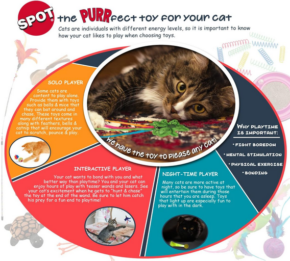 A-Door-Able Bouncing Bird Catnip Toy | Spot
