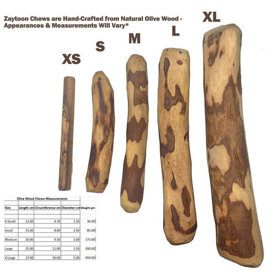 Olive Wood Dog Chew (Large) | Zaytoon