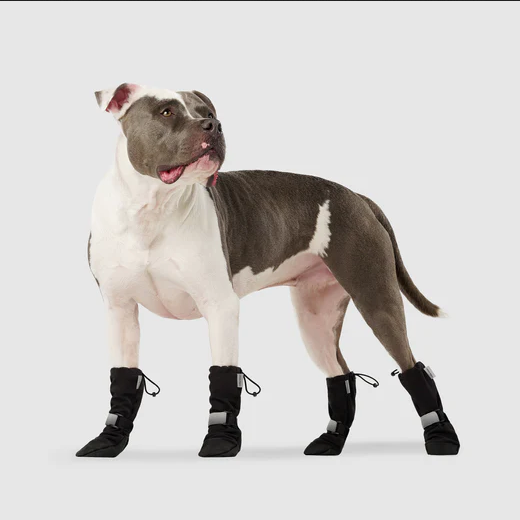 Soft Sheild Boots | Canada Pooch
