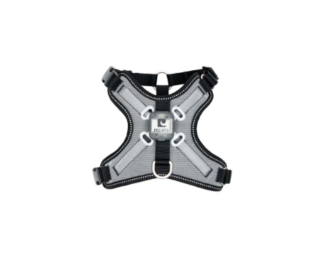 Nova LED Light-Up Harness | RC Pets